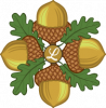 Acorns