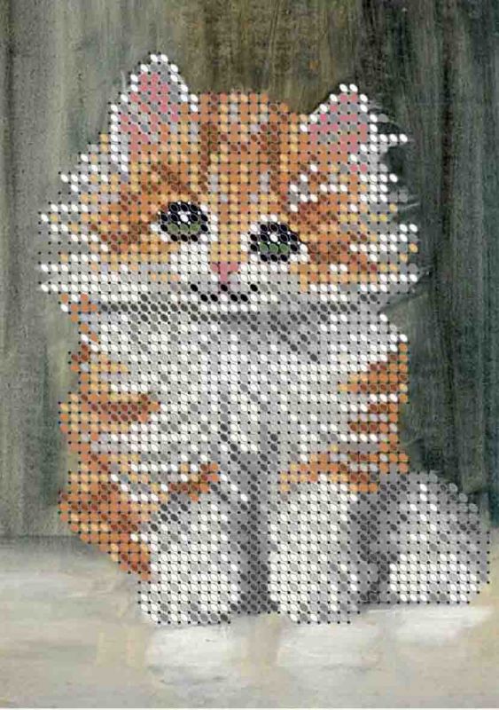 Кошеня А6-Д-064
