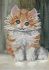 Котенок А6-Д-064