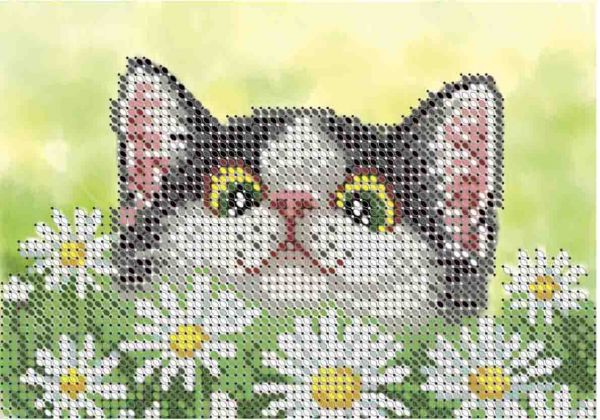 Котик у ромашках А6-Д-076