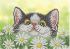 Котик у ромашках А6-Д-076
