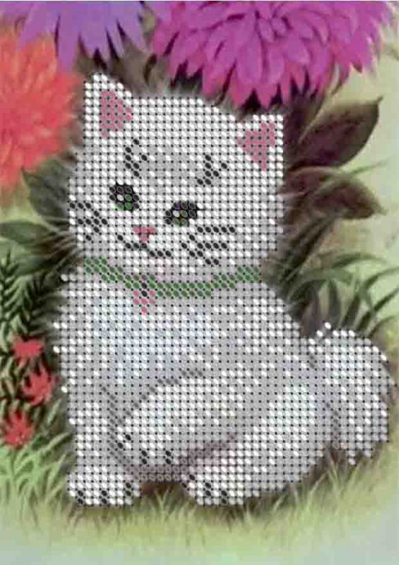 Кошеня А6-Д-091