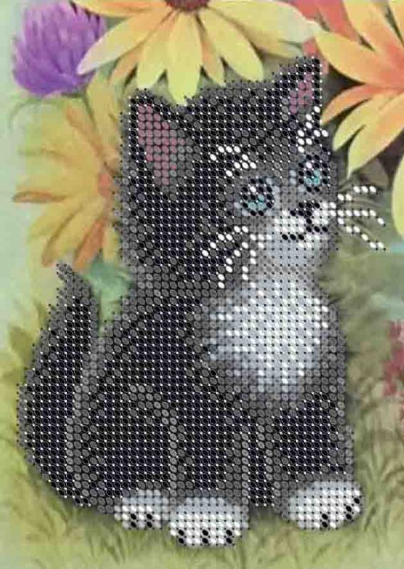 Котик А6-Д-092