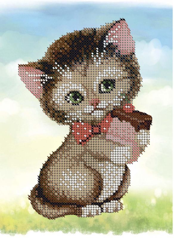 Кошеня А5-Д-025