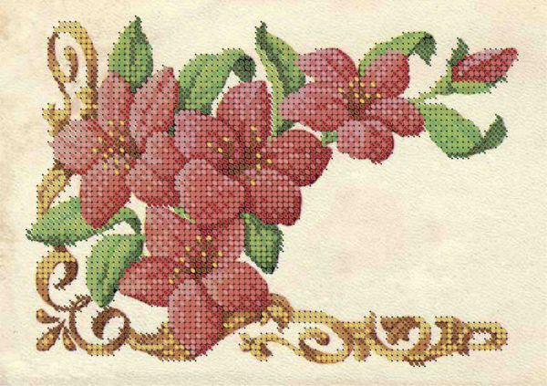 Лілії А5-Д-064