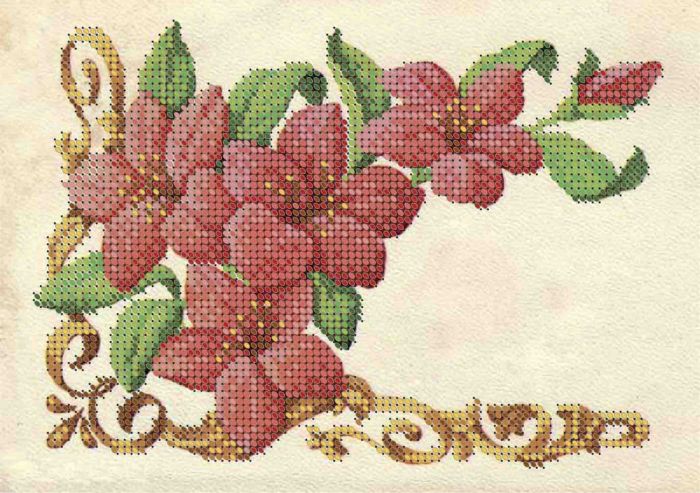 Лілії А5-Д-064