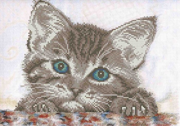 Кошеня А4-К-182