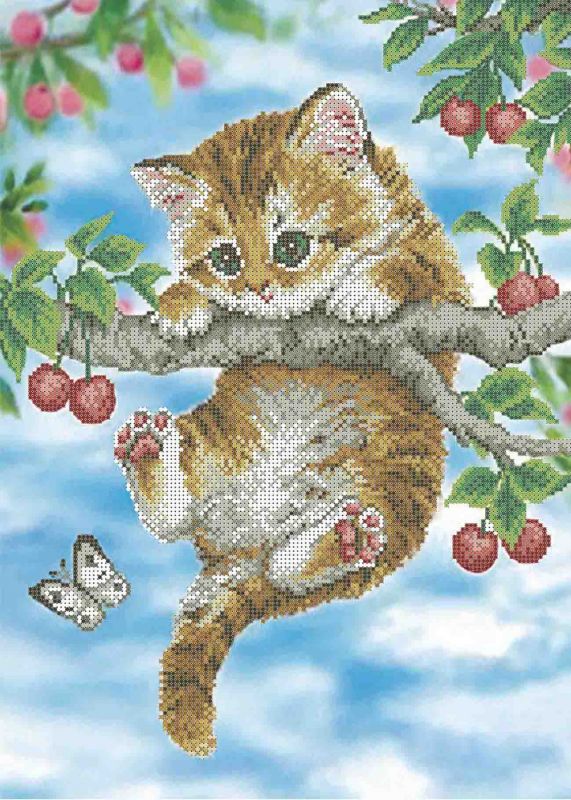 Вишневый котенок А3-К-290
