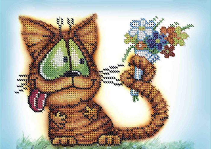 Котик А5-Д-116
