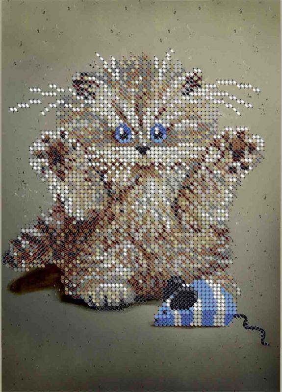 Котик А5-Д-138