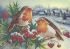 Зимние птицы А4-К-493