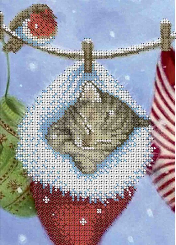 Кошеня А5-Д-156
