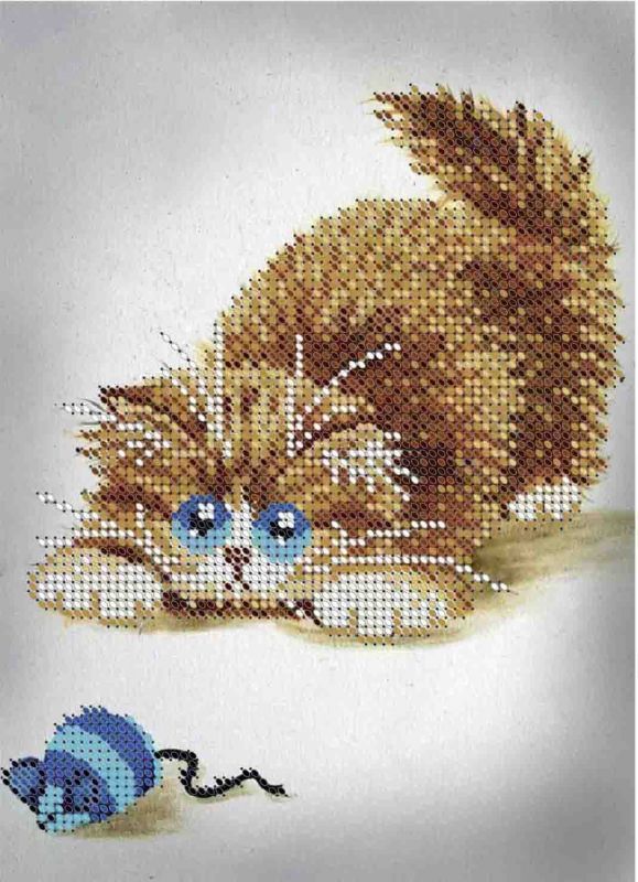 Котик А5-Д-157
