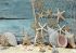 Дары моря А4-К-538