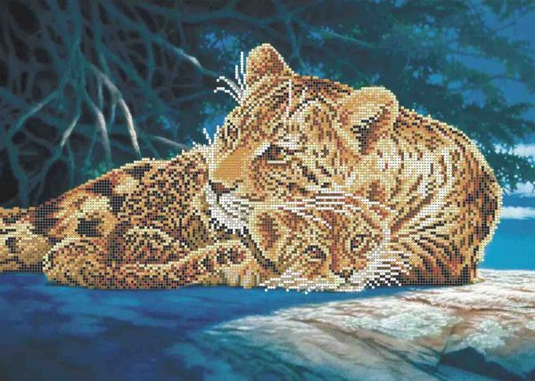 Мамине кохання А3-К-621