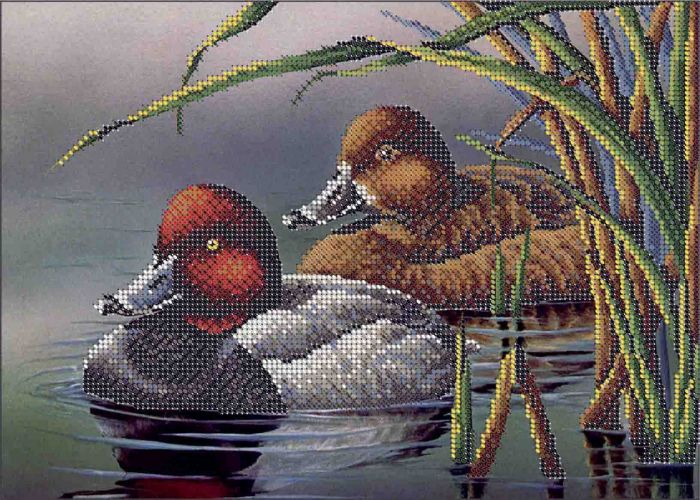 Качки А4-К-681