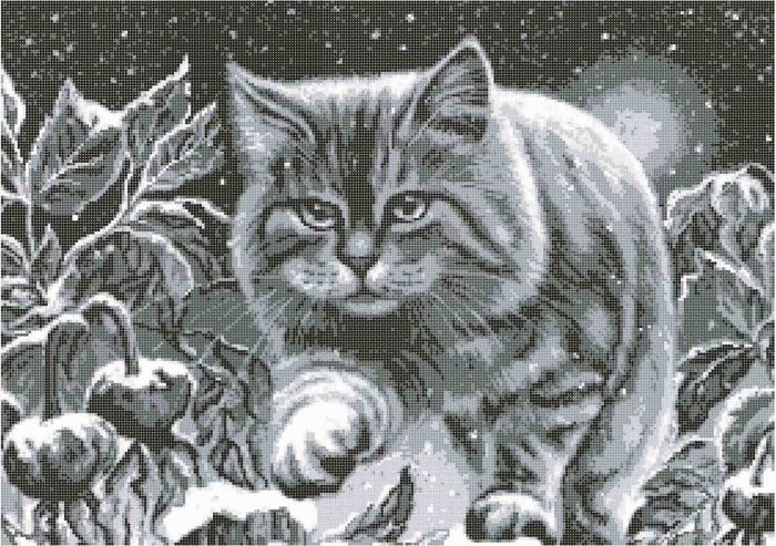 Снежный кот А2-К-774