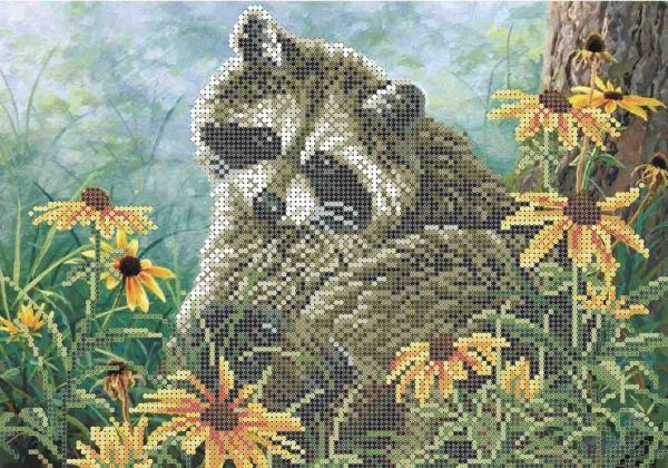 Єнот-полоскун А4-К-831