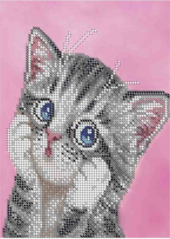 Кошеня А5-Д-466