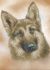 Вірний друг А3-К-879
