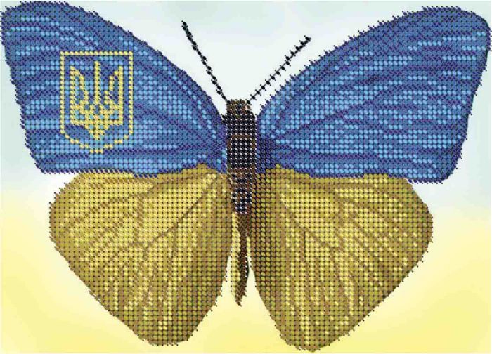 Український метелик А5-Д-478