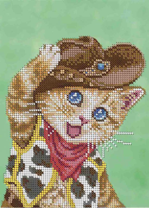 Котик ковбой А5-Д-491