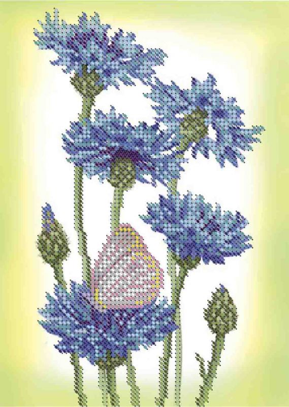 Волошки А5-Д-494