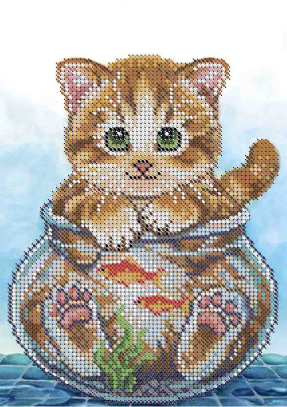 Котик в аквариуме А5-Д-496