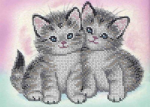Котики А5-Д-392