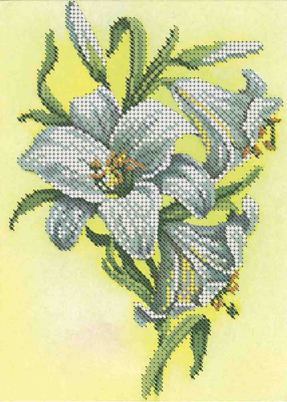 Лілії А5-Д-407