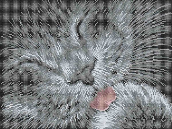 Котик А3-К-1161