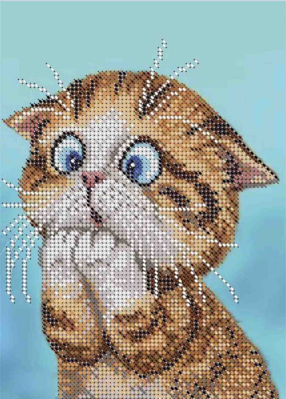Котик А5-Д-431