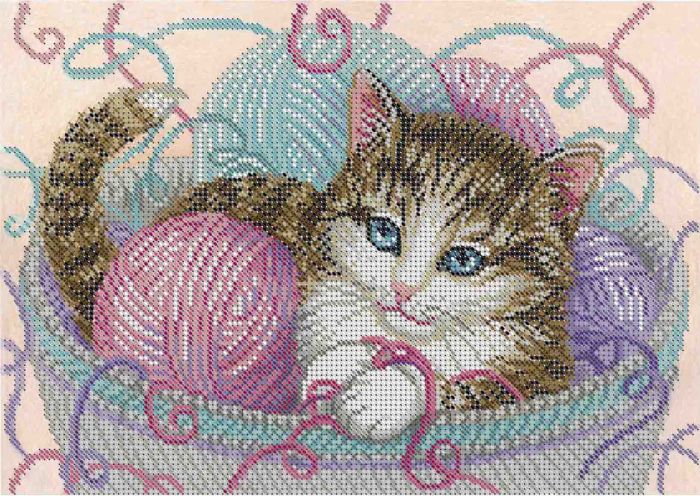 Котик А4-К-1131