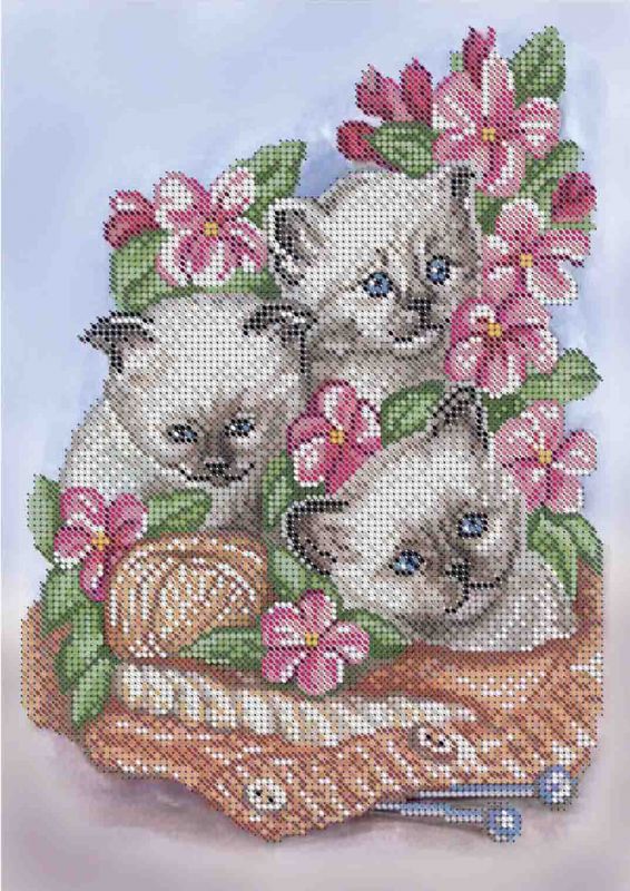 Кошенята А4-К-1132