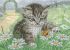Котенок с бабочкой А5-Д-569