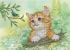 Рыжий котенок А5-Д-574