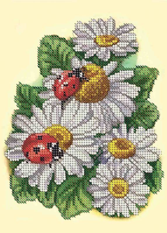 Ромашки А5-Д-583