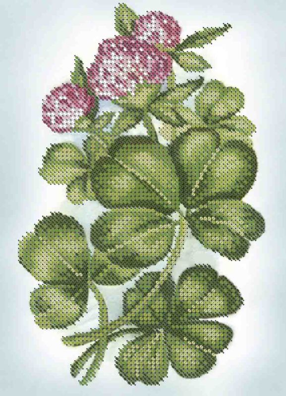 Конюшина А5-Д-651