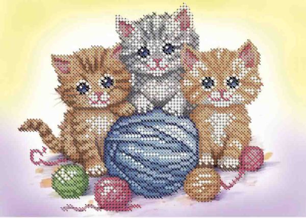 Кошенята А5-Д-679