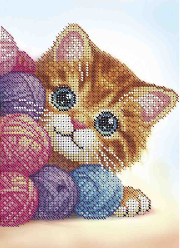 Кошеня А5-Д-712