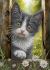 Котик Мурчик А4-К-1696