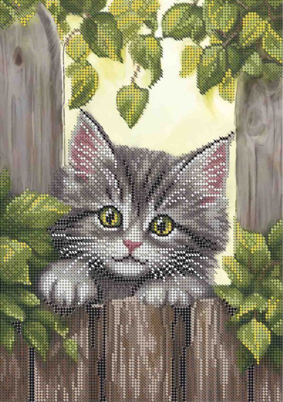 Кошеня А4-К-1702